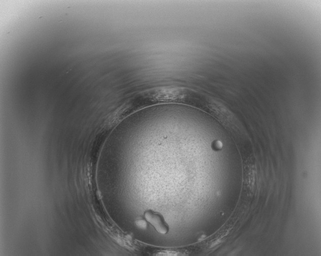 X0000054410326200508051746