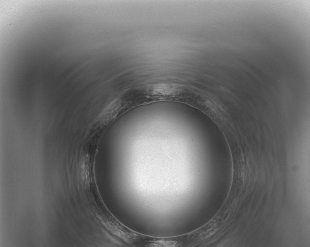 X0000054410328200508051746