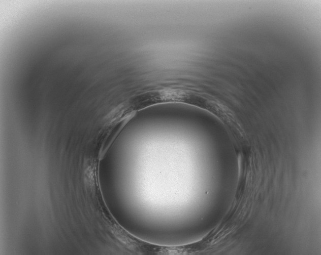 X0000054410329200508051746