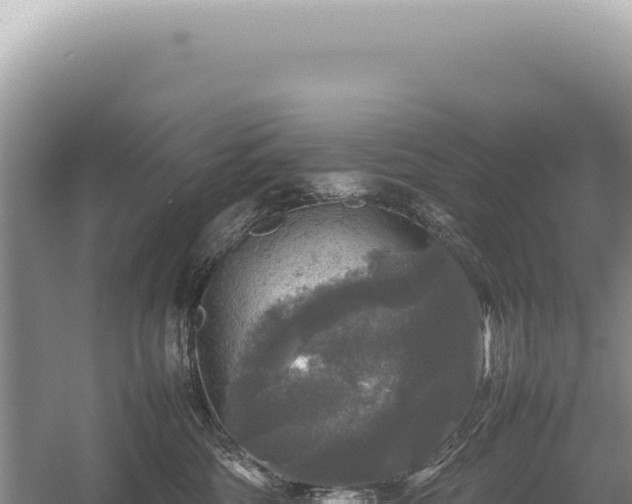 X0000054410330200508051746