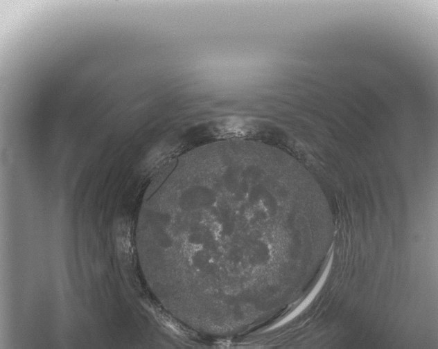 X0000054410331200508051746