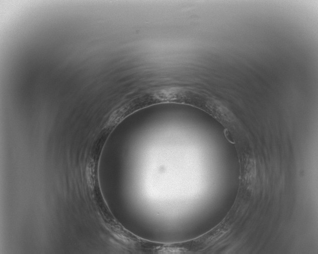 X0000054410332200508051746