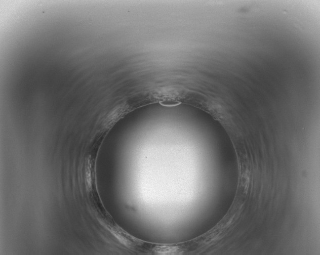 X0000054410334200508051746