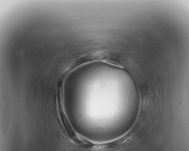 X0000054410335200508051746