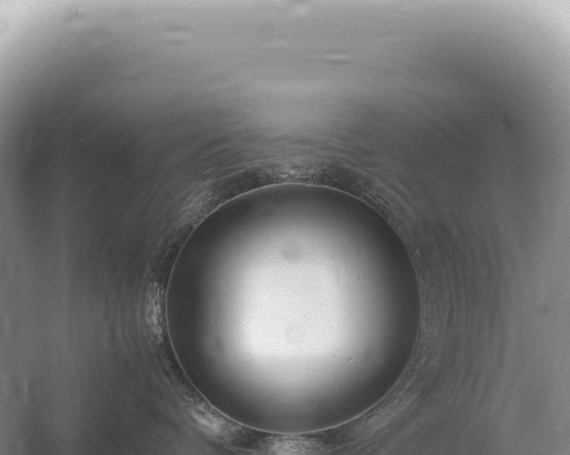 X0000054410336200508051746