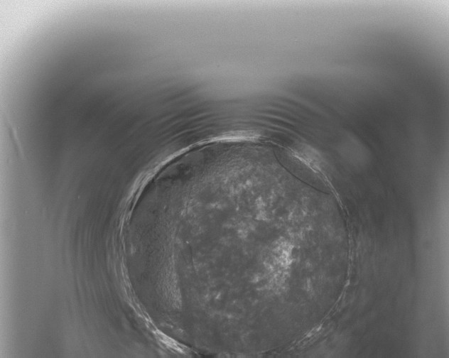 X0000054410337200508051745