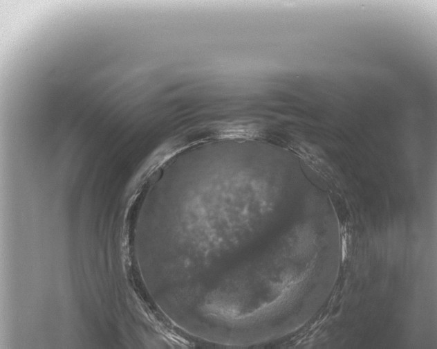 X0000054410339200508051745