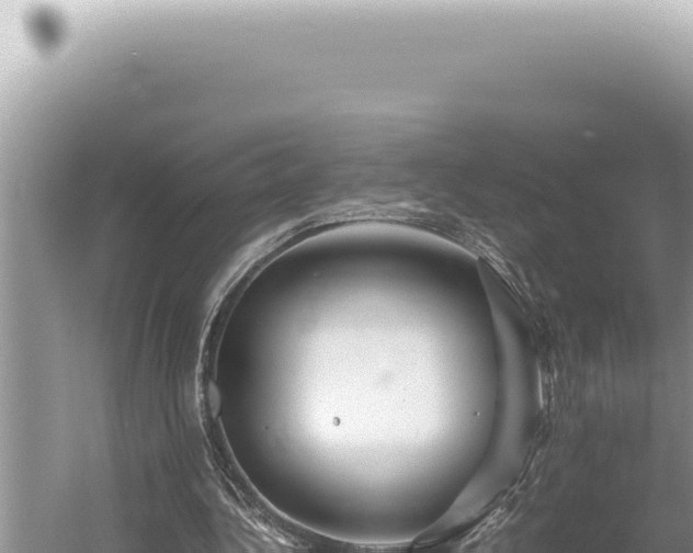 X0000054410340200508051745