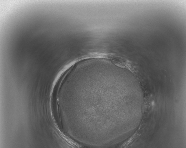 X0000054410342200508051745