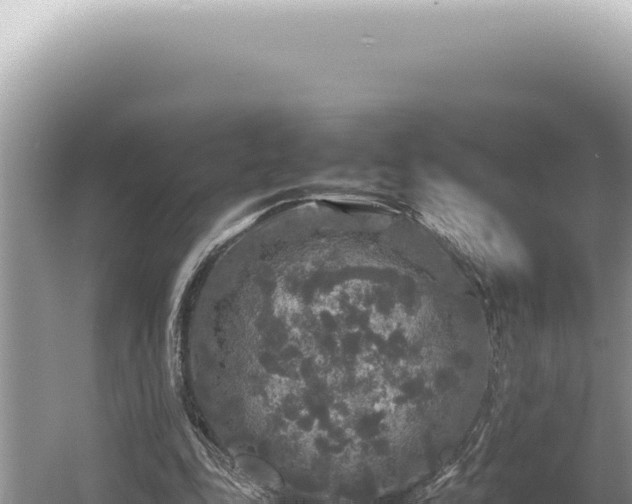 X0000054410343200508051745