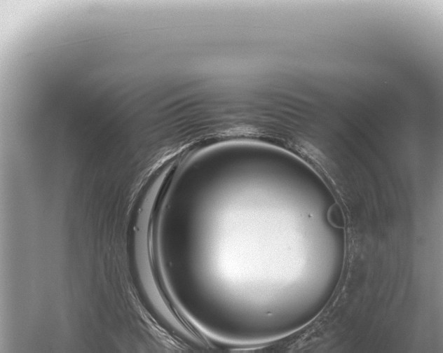 X0000054410345200508051745