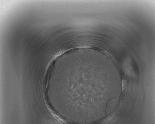 X0000054410349200508051745