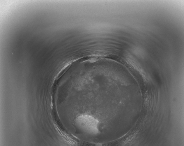 X0000054410351200508051745