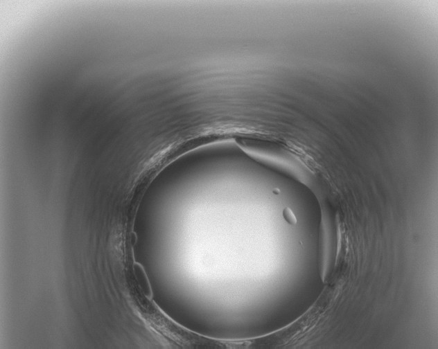 X0000054410352200508051745