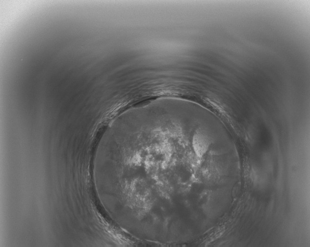 X0000054410353200508051746