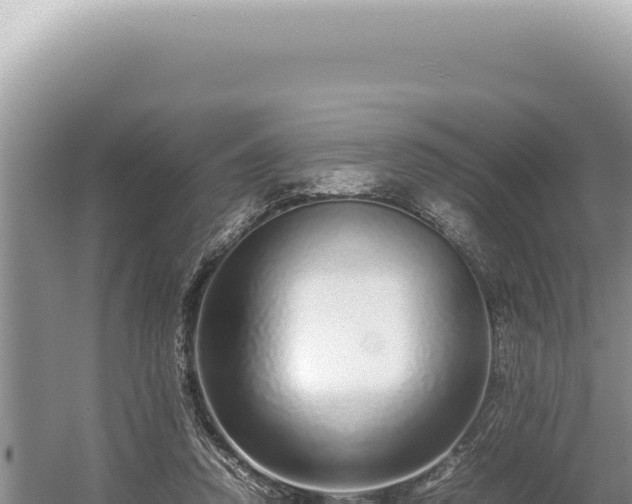 X0000054410354200508051746