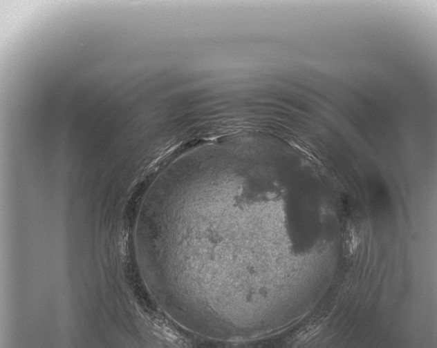 X0000054410355200508051746