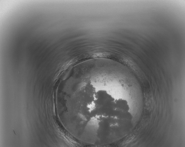 X0000054410357200508051746