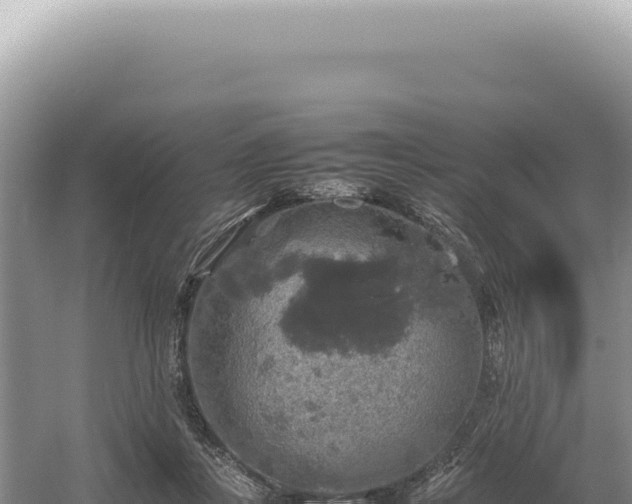 X0000054410359200508051746