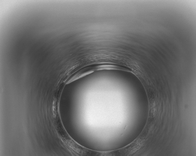 X0000054410360200508051746