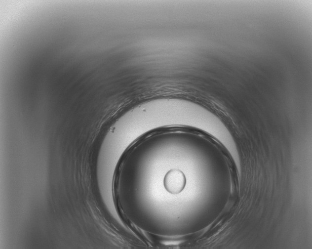 X0000054410362200508051746