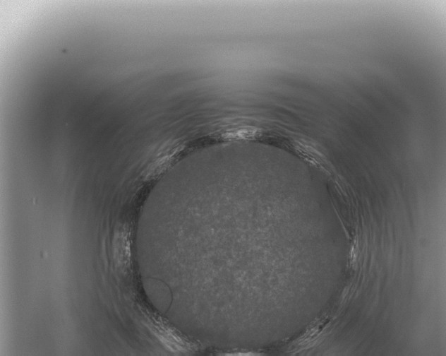 X0000054410363200508051746