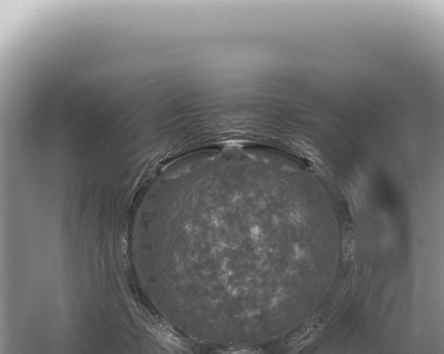 X0000054410365200508051746