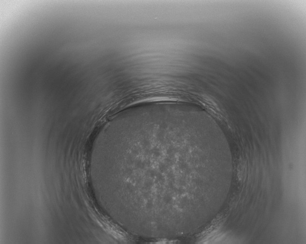 X0000054410366200508051746