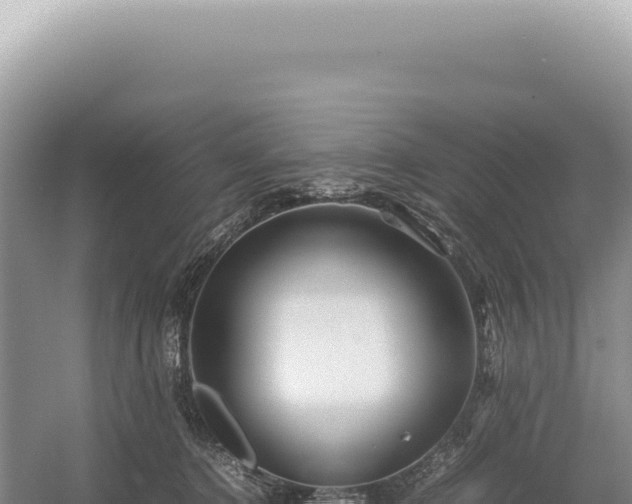 X0000054410368200508051746