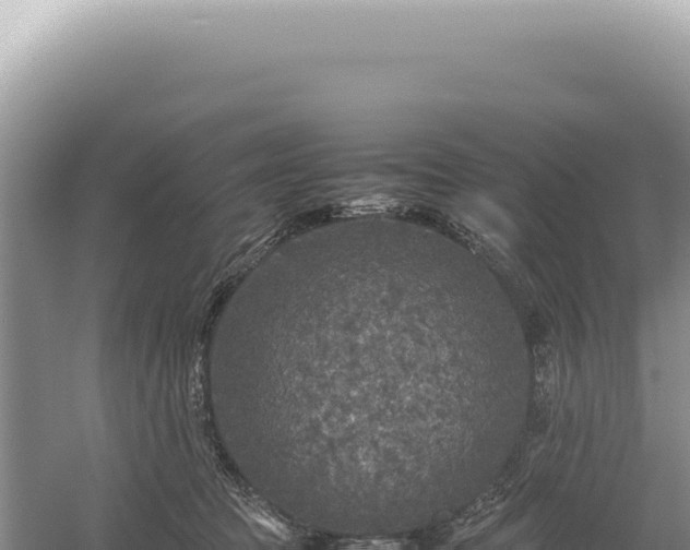 X0000054410369200508051746