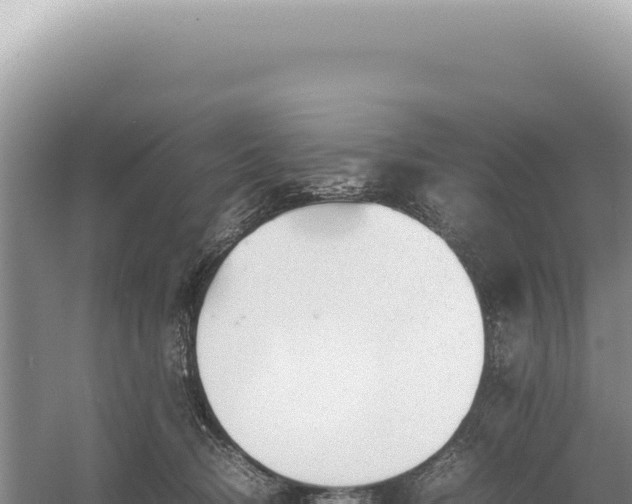 X0000054410370200508051746