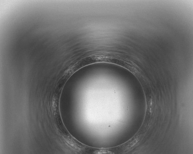 X0000054410372200508051746