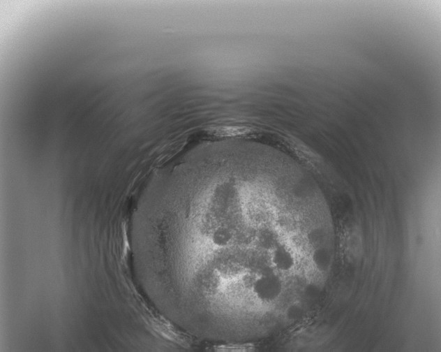 X0000054410373200508051746