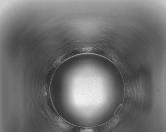 X0000054410374200508051746