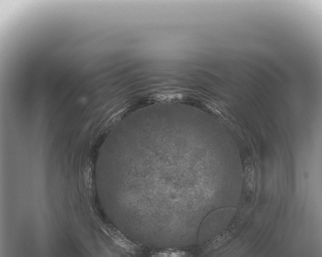 X0000054410375200508051746