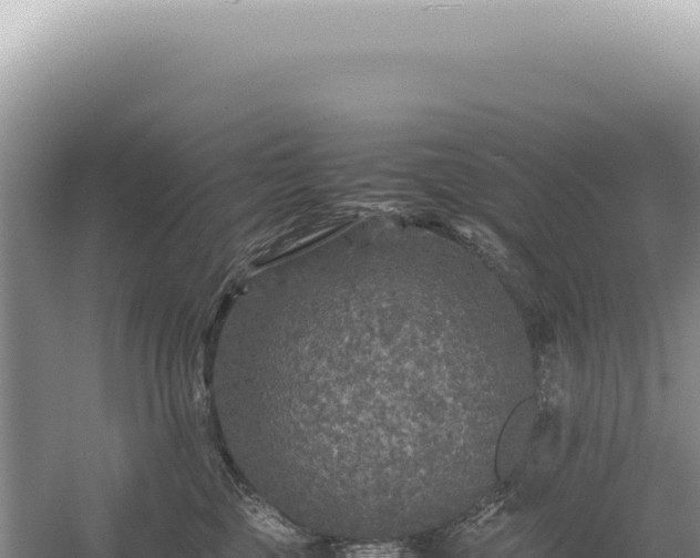 X0000054410377200508051746