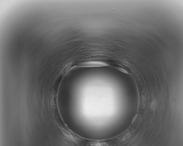 X0000054410379200508051746