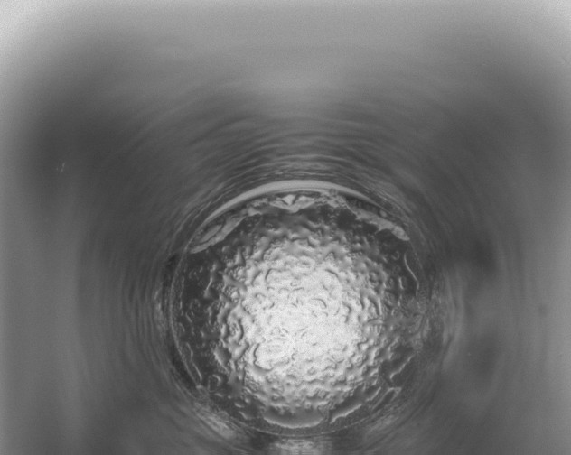 X0000054410381200508051746