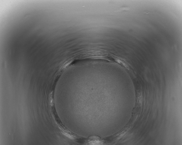 X0000054410383200508051746