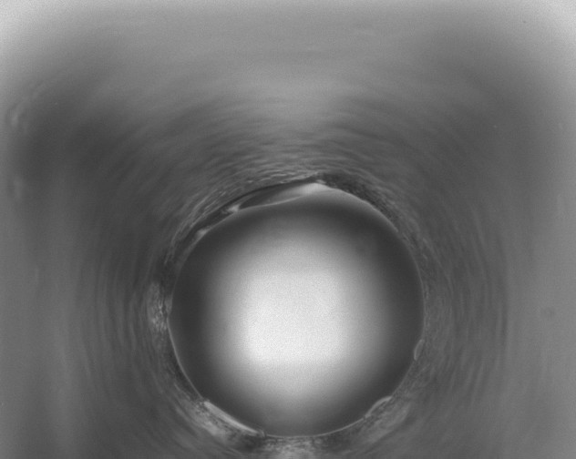 X0000054410384200508051746