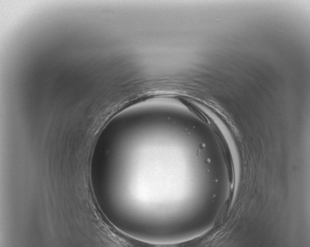 X0000054410385200508051745