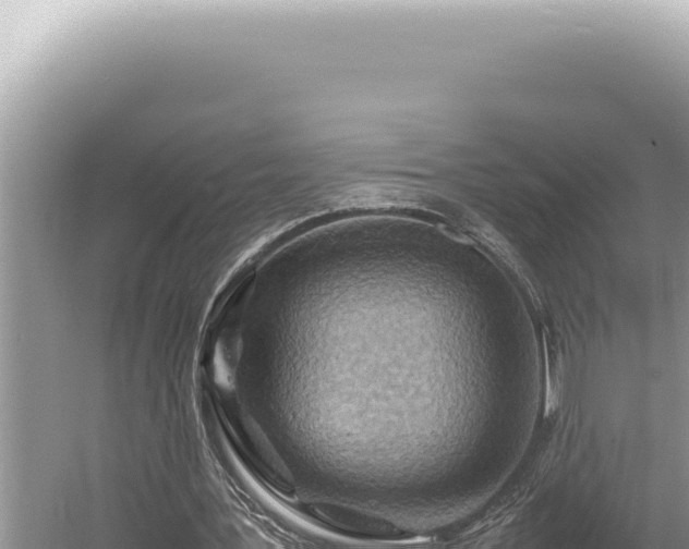 X0000054410387200508051745