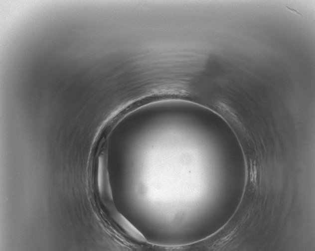 X0000054410388200508051745