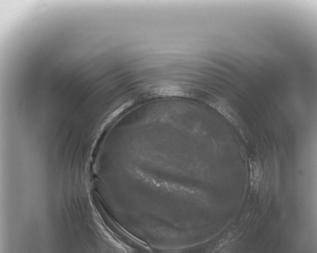 X0000054410390200508051745