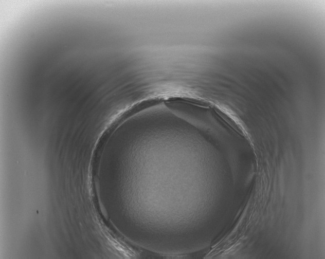 X0000054410391200508051745