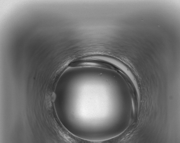 X0000054410393200508051745