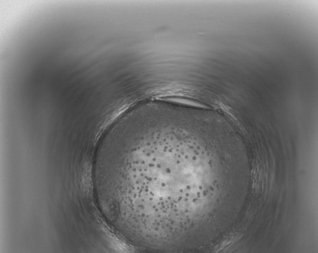 X0000054410394200508051745