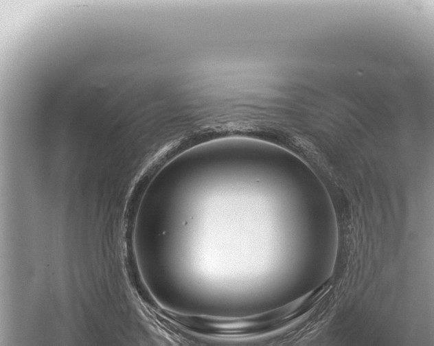 X0000054410395200508051745