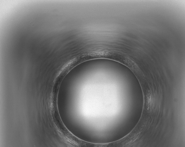 X0000054410396200508051745