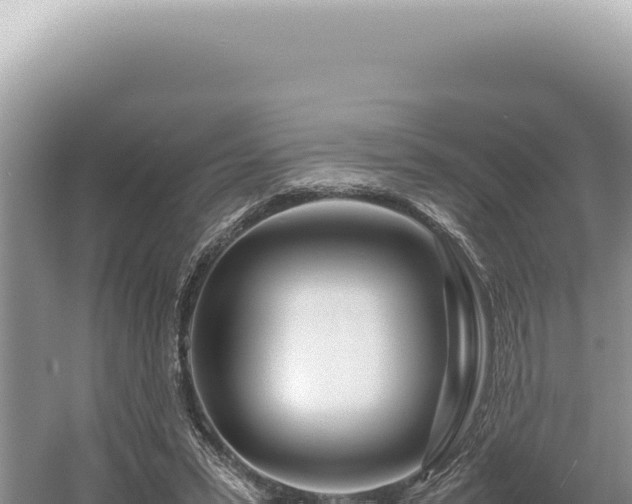 X0000054410399200508051745